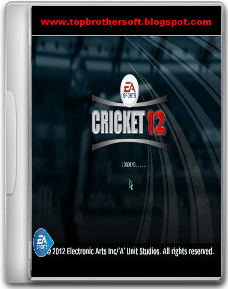 cricket games for laptops free download